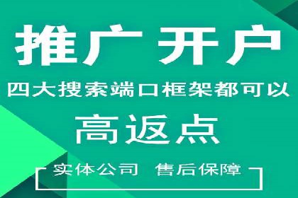 搜索引擎推广的佼佼者——百度搜索推广案例